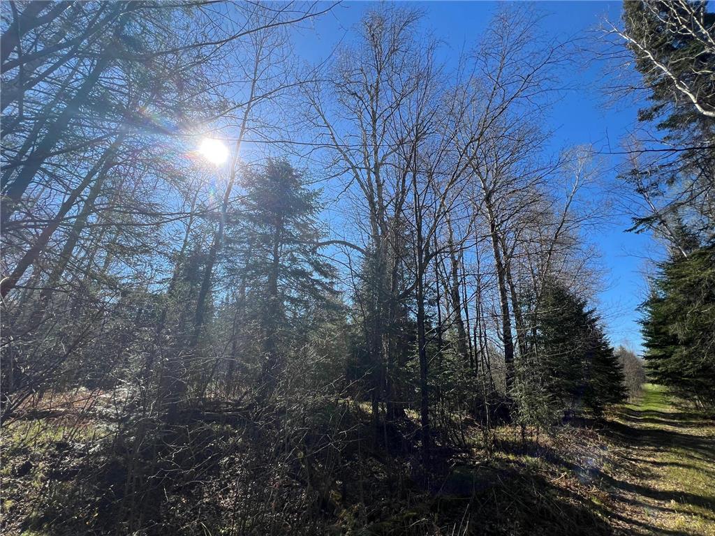 Parcel A Township Road D Wawina Twp MN 55736 7076652 image8