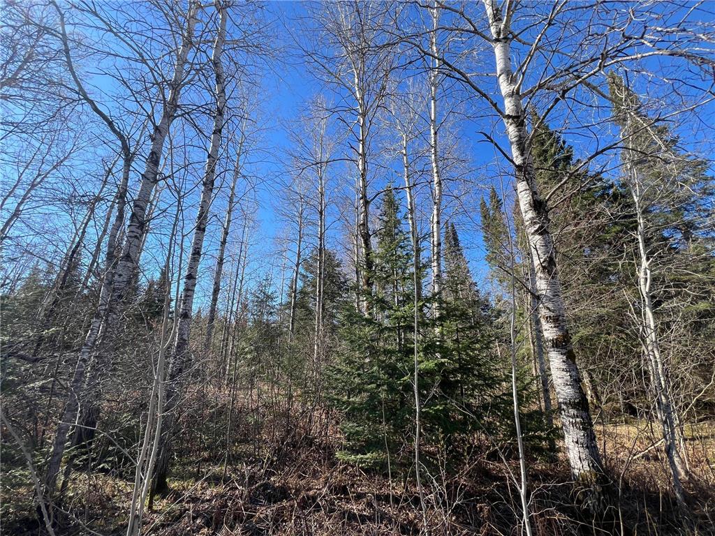 Parcel A Township Road D Wawina Twp MN 55736 7076652 image9