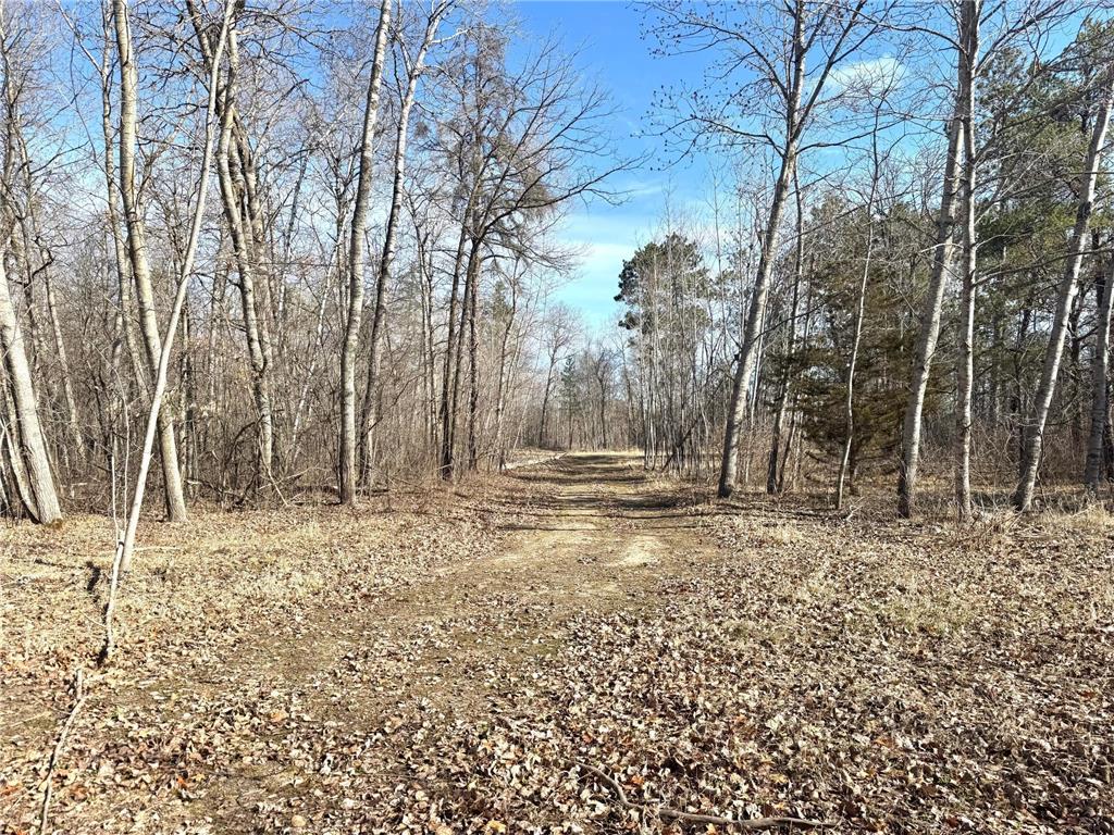 Parcel B 24th Ave SW Pine River Twp MN 56435 - Norway 6812221 image15