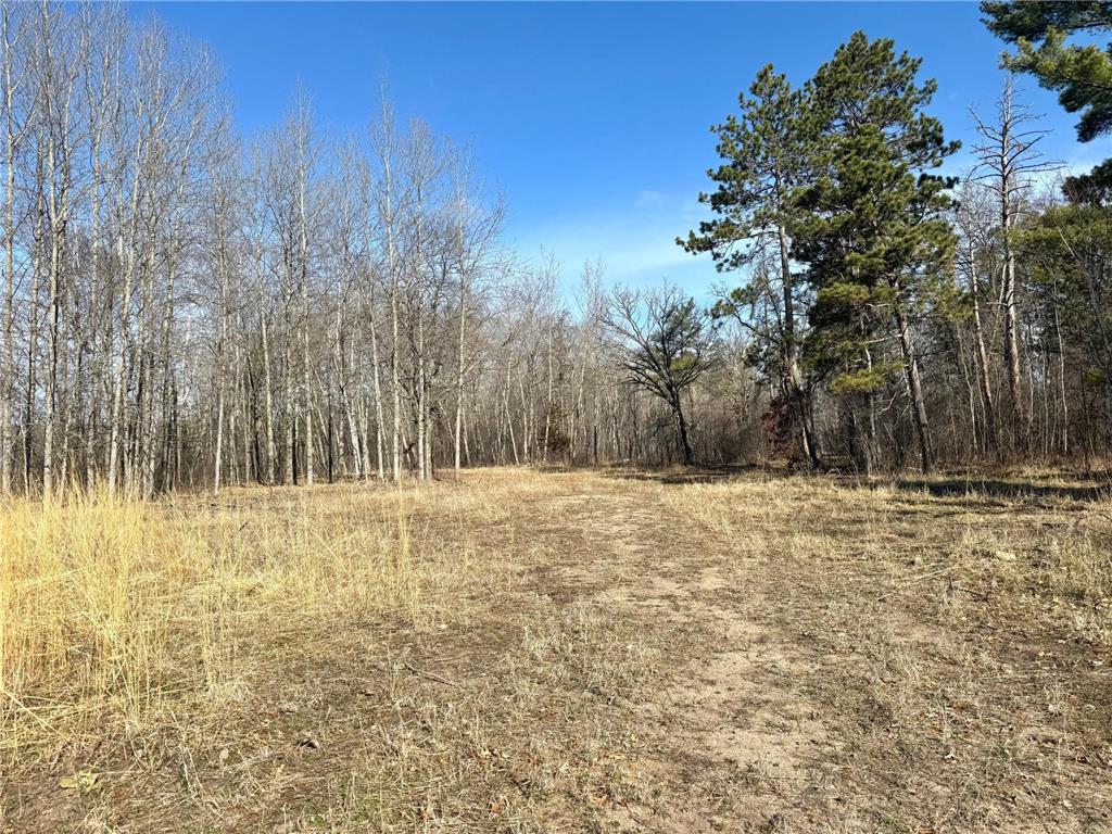 Parcel B 24th Ave SW Pine River Twp MN 56435 - Norway 6812221 image17