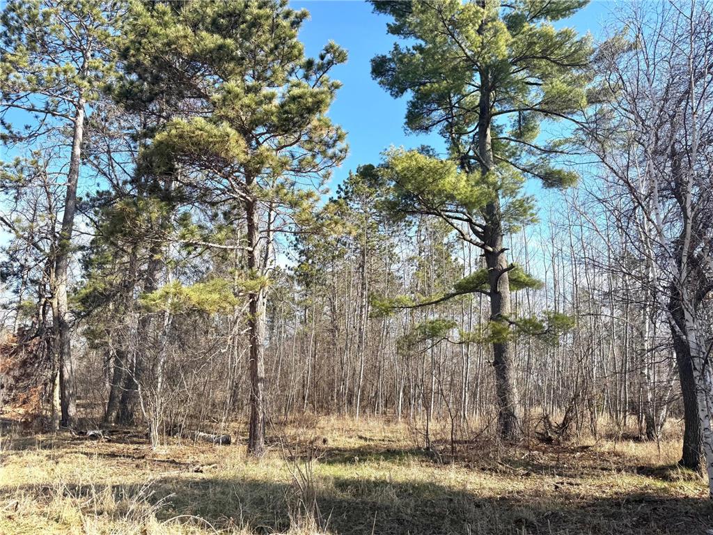 Parcel B 24th Ave SW Pine River Twp MN 56435 - Norway 6812221 image19