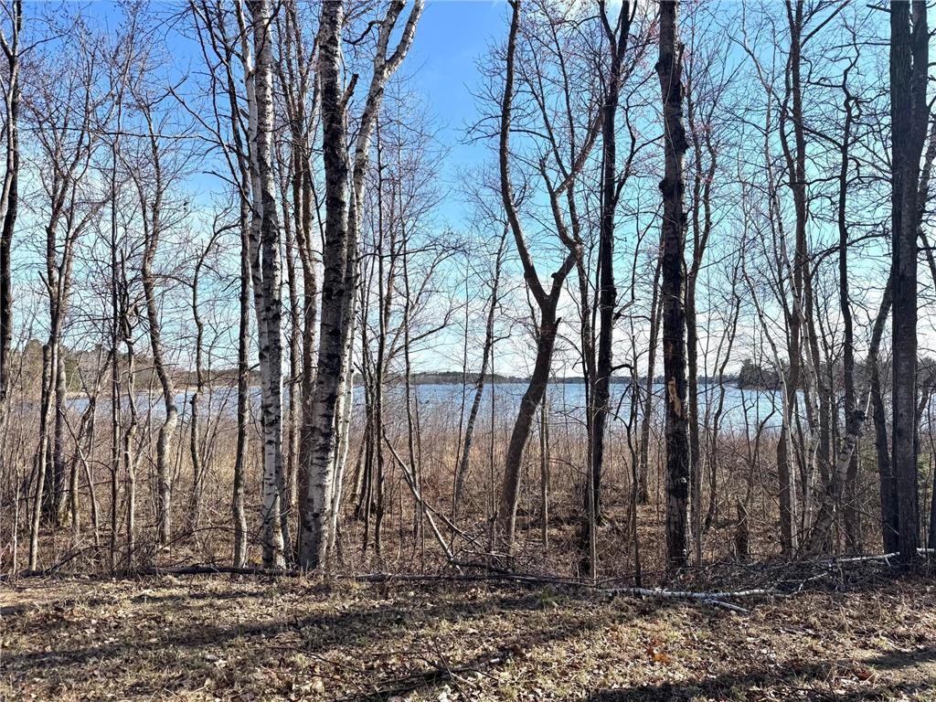 Parcel B 24th Ave SW Pine River Twp MN 56435 - Norway 6812221 image22