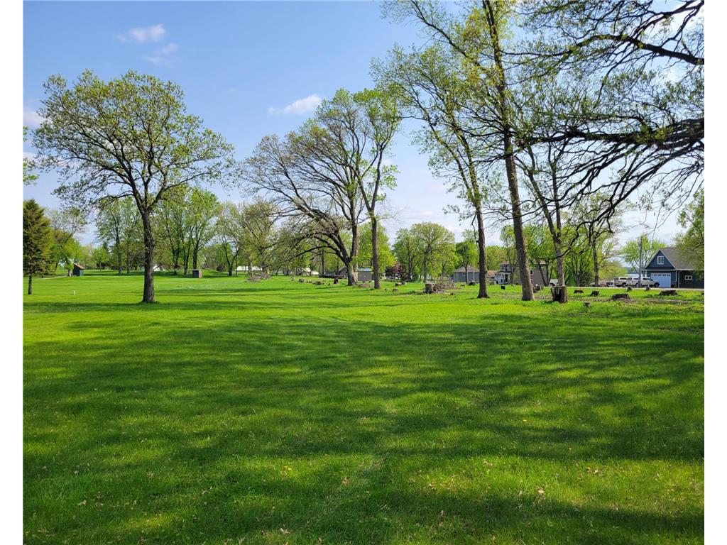 Parcel B County Road 38 Buffalo Lake MN 55314 - Allie 6375947 image1