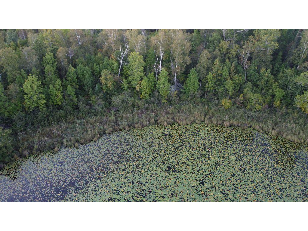 Parcel B E Gunn Lake Trail Marcell MN 56657 - Fifth Chain 6776874 image2