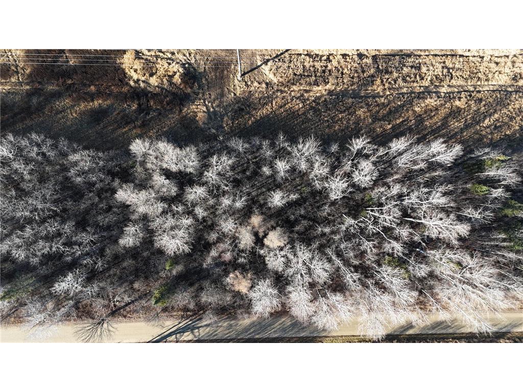 Parcel B Parameter Road Deer River MN 56636 6820173 image5