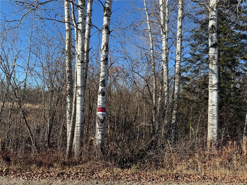 Parcel B Parameter Road Deer River MN 56636 6820173 image7