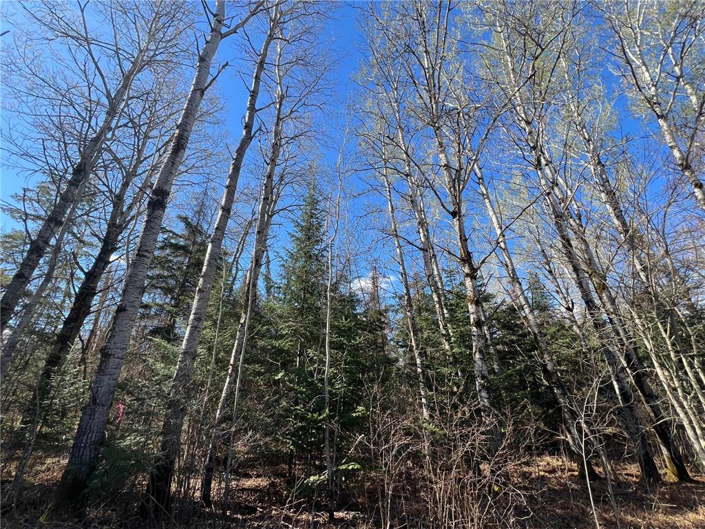Parcel B Township Road D Wawina Twp MN 55736 7076658 image4