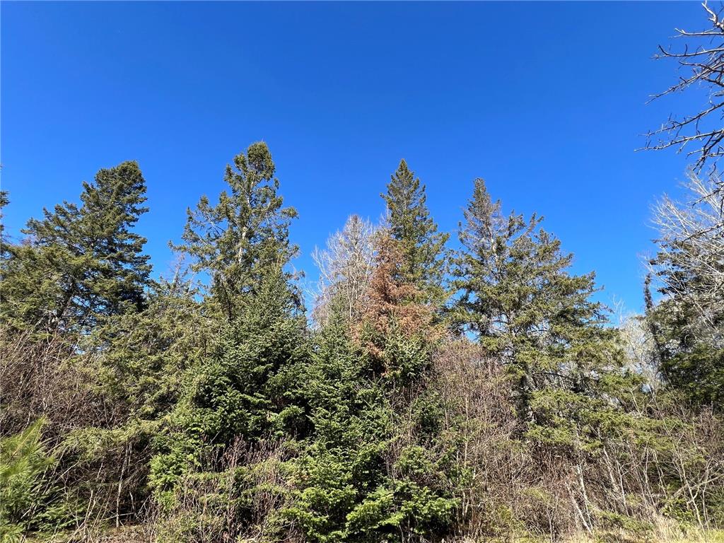 Parcel B Township Road D Wawina Twp MN 55736 7076658 image5