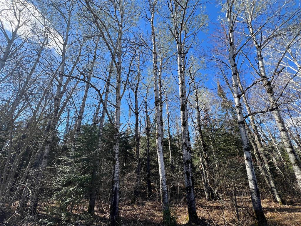 Parcel B Township Road D Wawina Twp MN 55736 7076658 image6