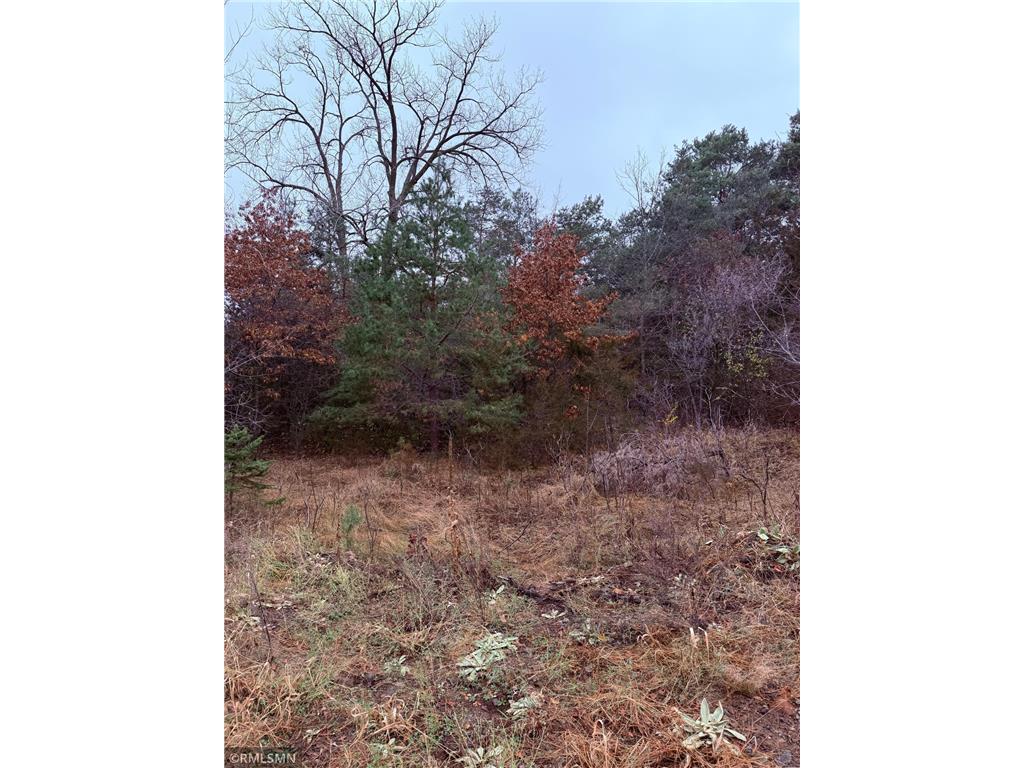 Parcel B XXX 115th Avenue NE Saint George Twp MN 56329 6625321 image1