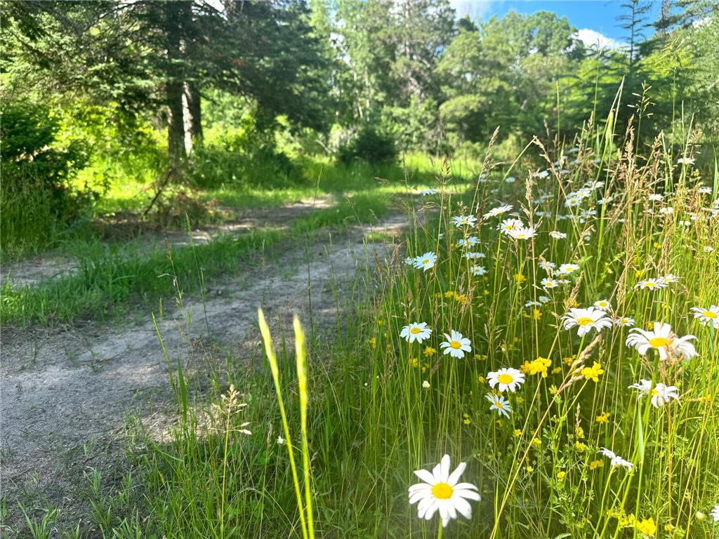 Parcel C 24th Ave SW Pine River Twp MN 56435 - Norway 6812256 image11