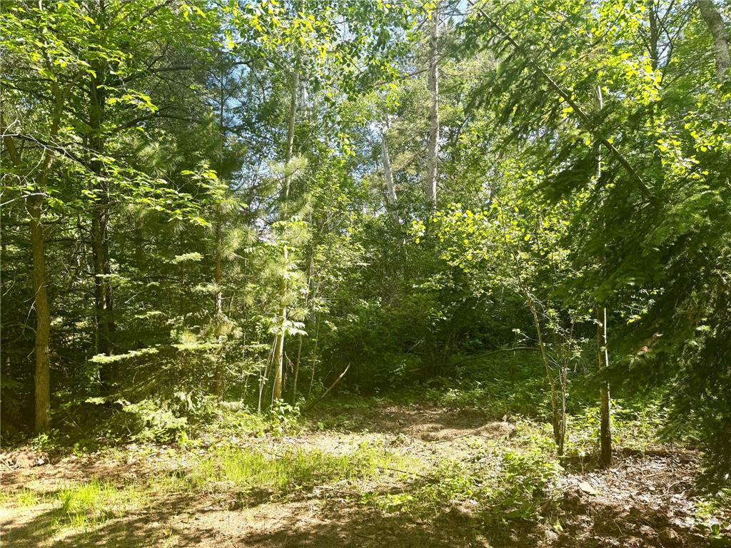 Parcel C 24th Ave SW Pine River Twp MN 56435 - Norway 6812256 image13