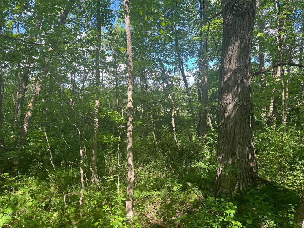 Parcel C 24th Ave SW Pine River Twp MN 56435 - Norway 6812256 image15