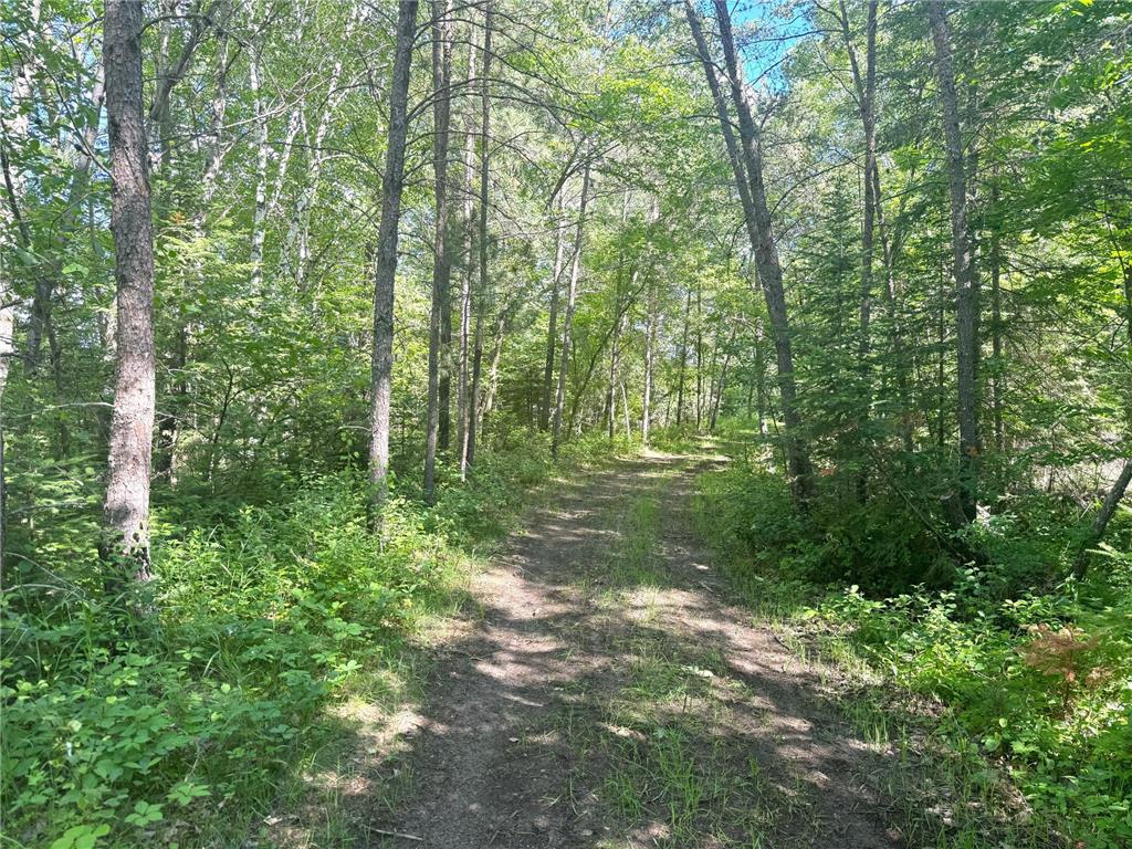 Parcel C 24th Ave SW Pine River Twp MN 56435 - Norway 6812256 image16