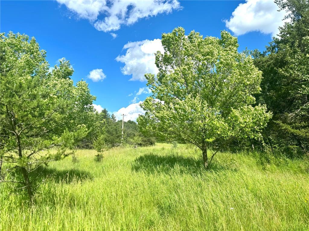 Parcel C 24th Ave SW Pine River Twp MN 56435 - Norway 6812256 image18