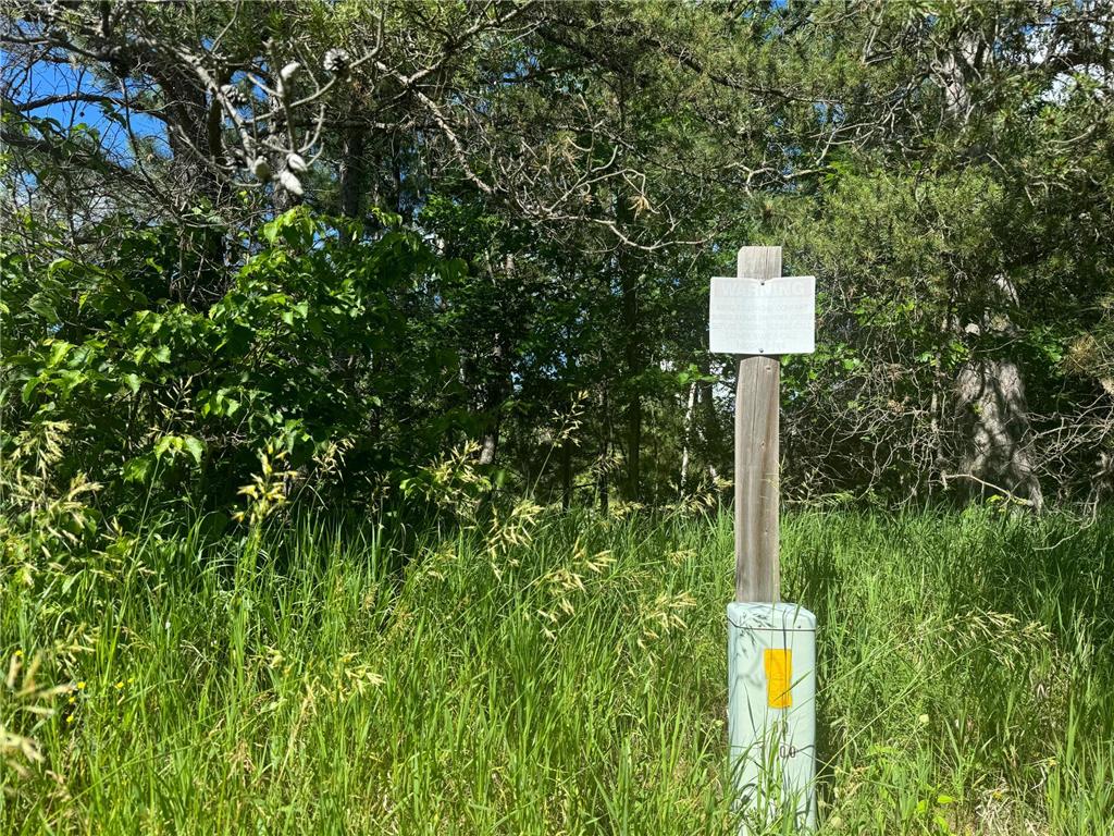 Parcel C 24th Ave SW Pine River Twp MN 56435 - Norway 6812256 image6