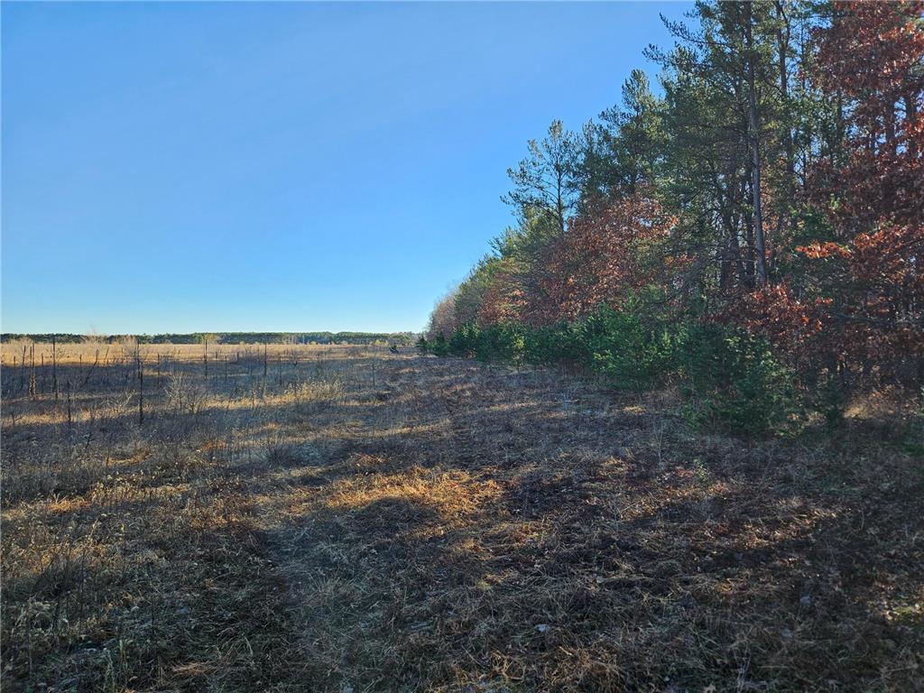 Parcel C Keystone Avenue Sunrise Twp MN 55032 7028815 image4