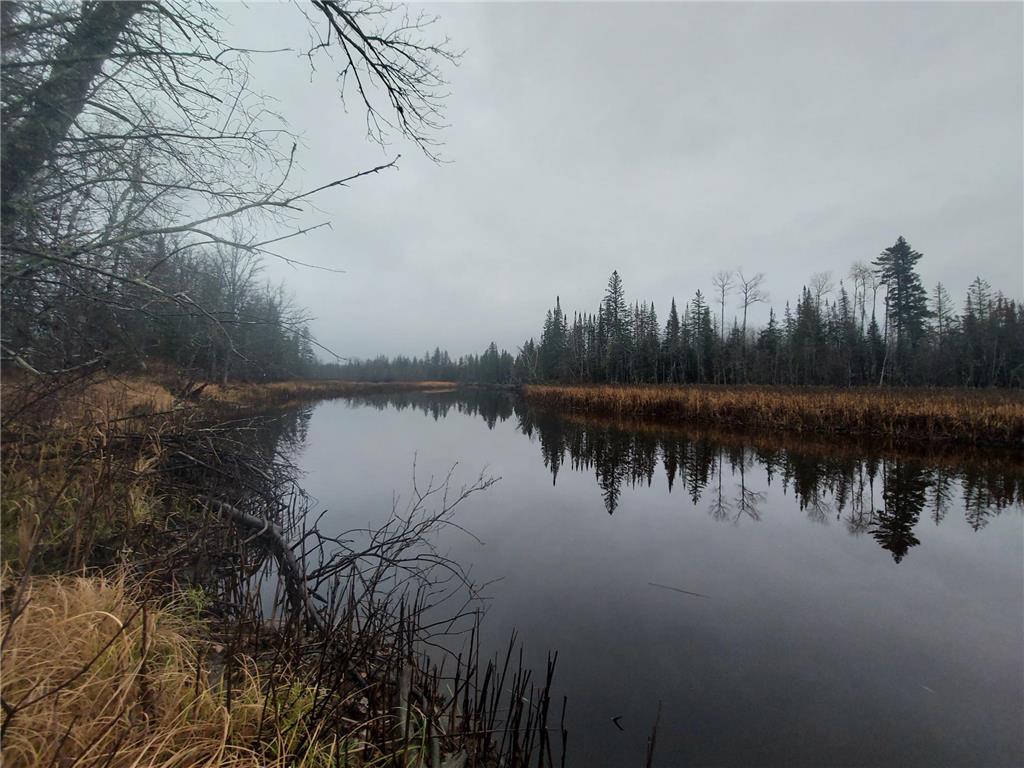 Parcel D Co Rd 119 International Falls MN 56669 - Rat Root River 6487049 image1