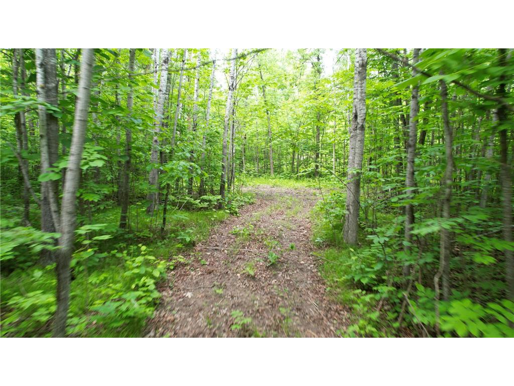Parcel D Ticonderoga Trail Hackensack MN 56452 6679042 image1
