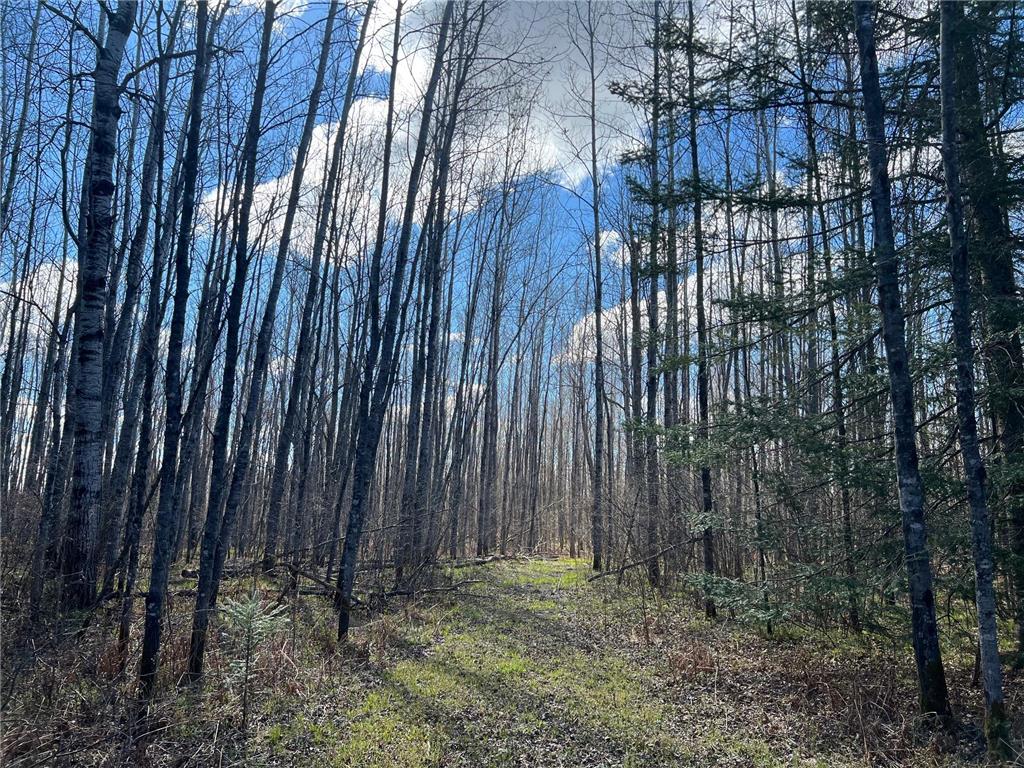 Parcel D Township Road D Wawina Twp MN 55736 7076705 image13