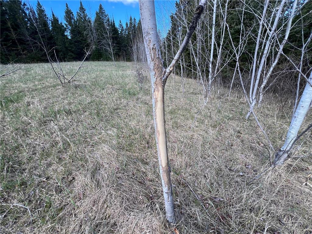 Parcel D Township Road D Wawina Twp MN 55736 7076705 image14
