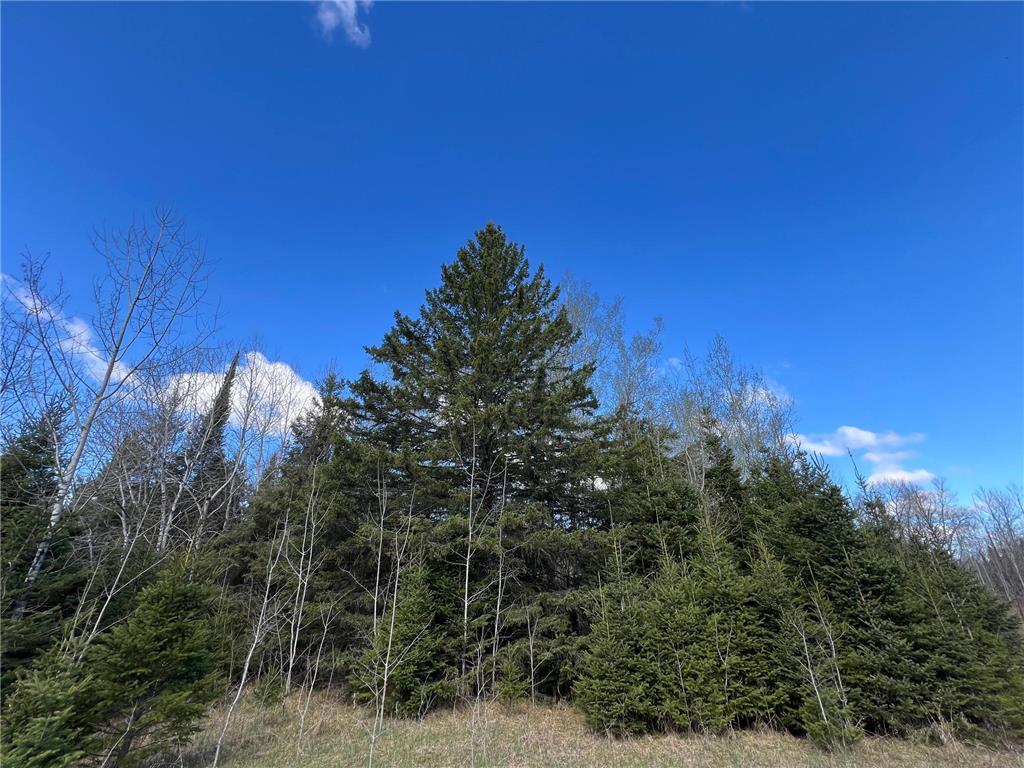 Parcel D Township Road D Wawina Twp MN 55736 7076705 image15