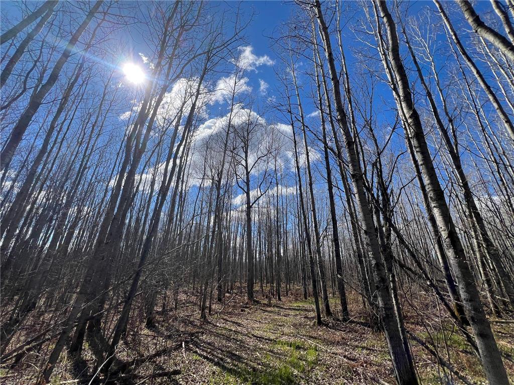 Parcel D Township Road D Wawina Twp MN 55736 7076705 image18