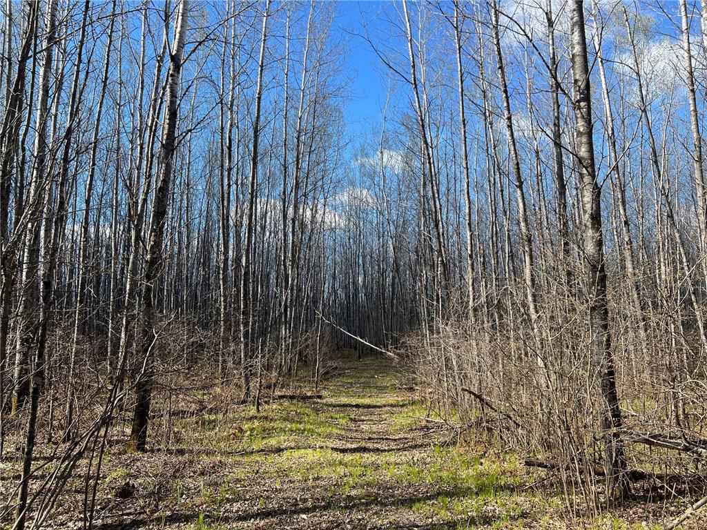 Parcel D Township Road D Wawina Twp MN 55736 7076705 image19