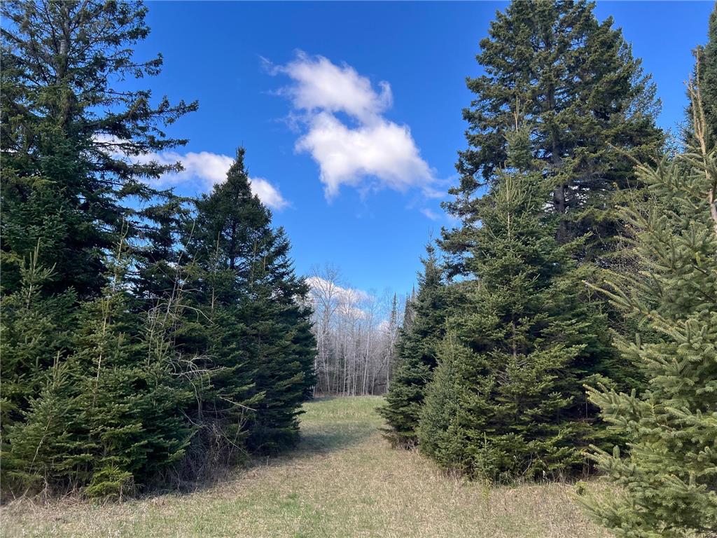 Parcel D Township Road D Wawina Twp MN 55736 7076705 image6