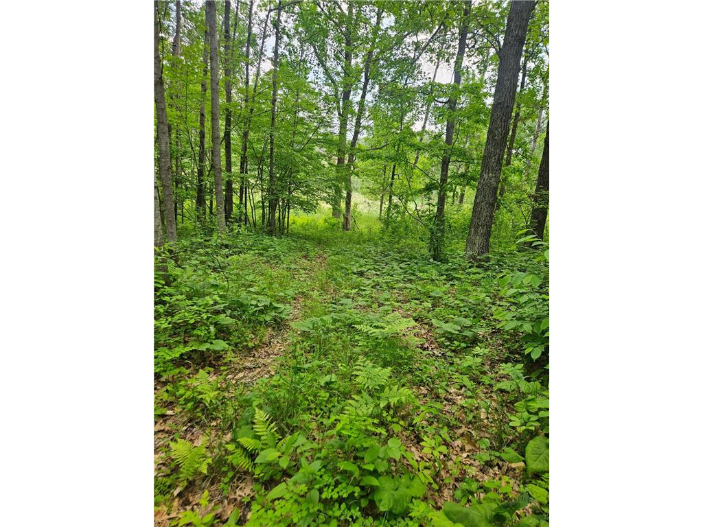 Parcel E Rogue Way Ironton MN 56455 6733392 image16