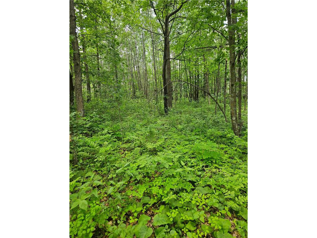 Parcel E Rogue Way Ironton MN 56455 6733392 image18