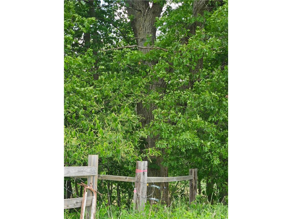 Parcel E Rogue Way Ironton MN 56455 6733392 image2