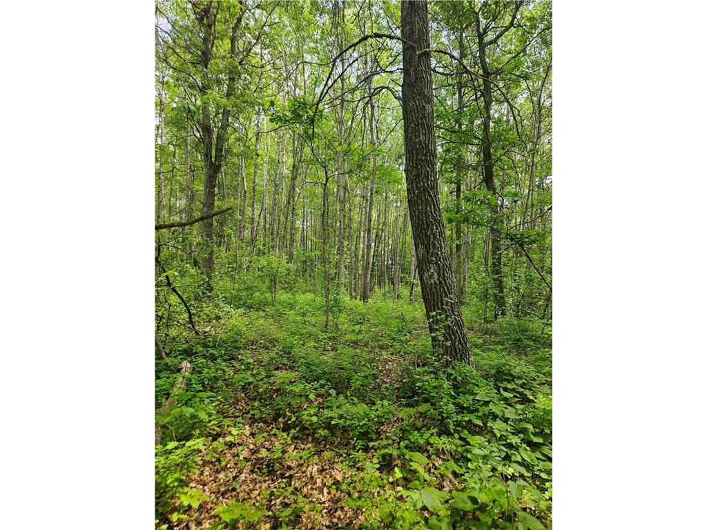 Parcel E Rogue Way Ironton MN 56455 6733392 image8