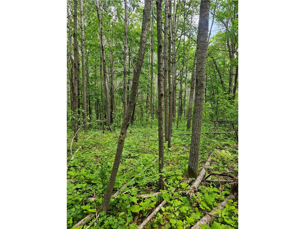 Parcel E Rogue Way Ironton MN 56455 6733392 image9