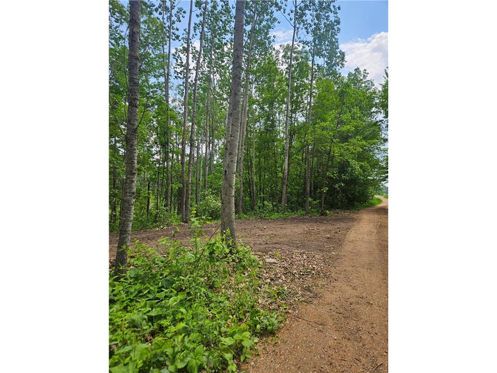 Parcel E Rogue Way Ironton MN 56455 7085724 image1