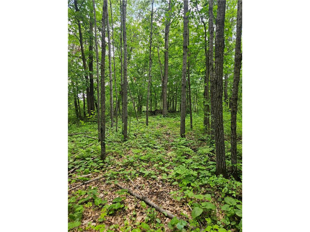 Parcel E Rogue Way Ironton MN 56455 7085724 image10