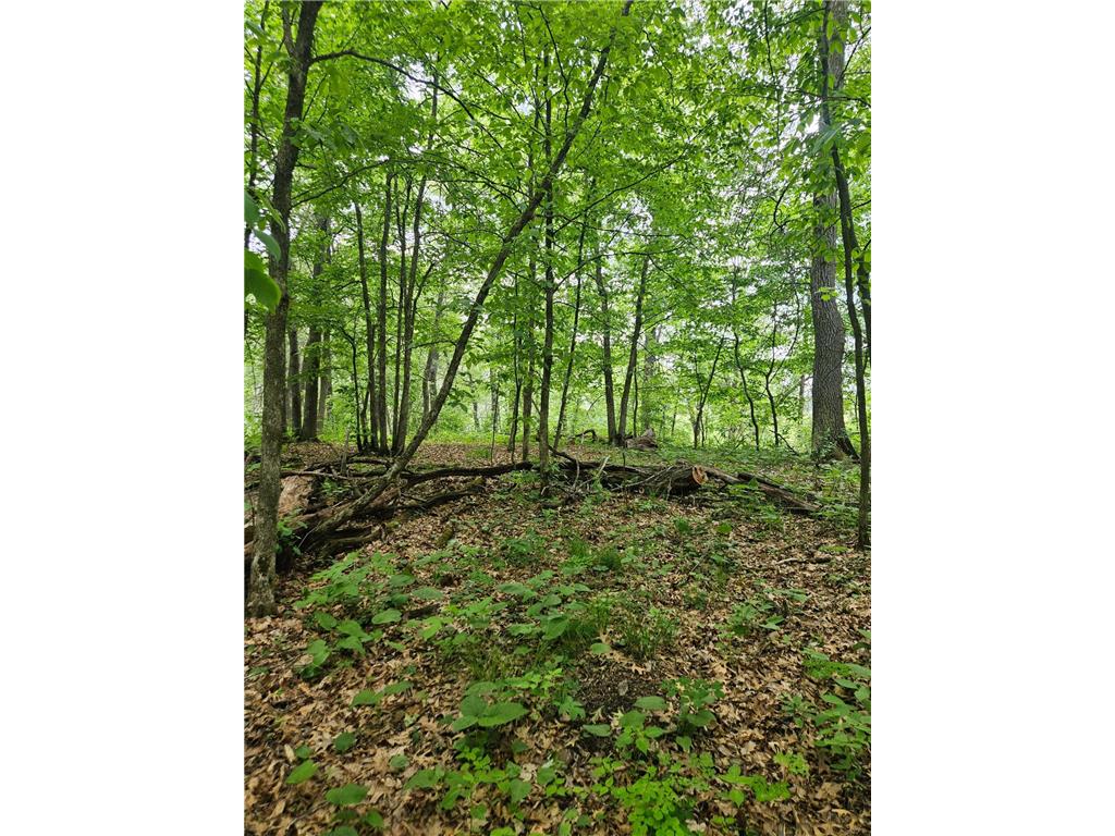 Parcel E Rogue Way Ironton MN 56455 7085724 image11