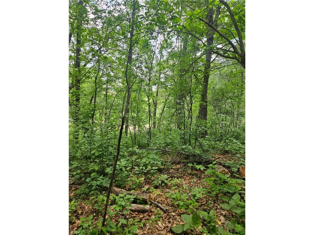 Parcel E Rogue Way Ironton MN 56455 7085724 image12