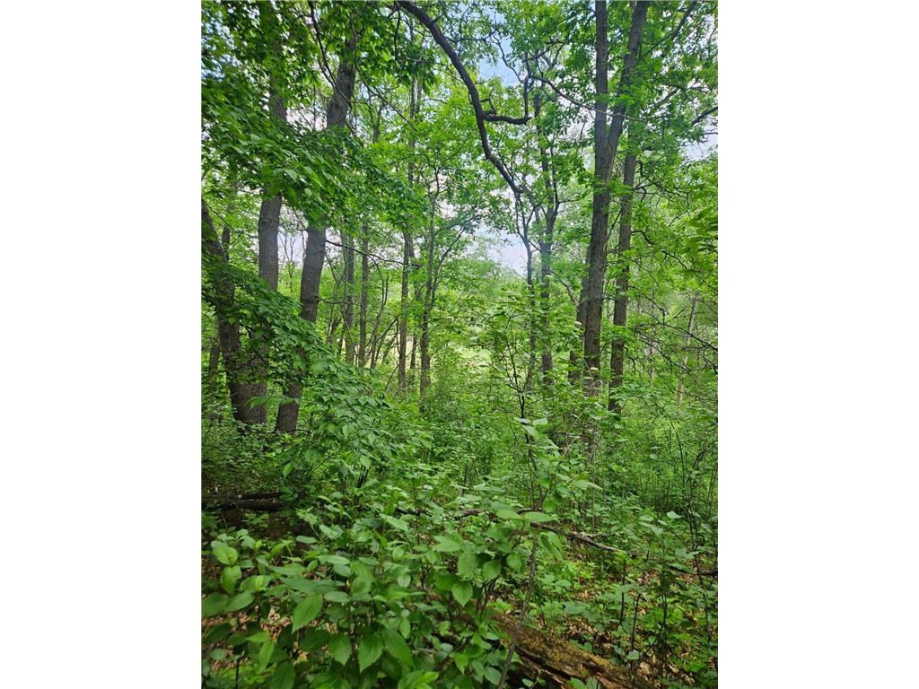 Parcel E Rogue Way Ironton MN 56455 7085724 image13
