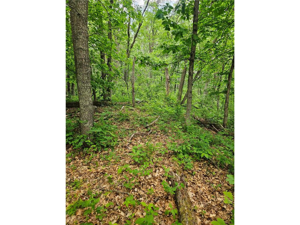 Parcel E Rogue Way Ironton MN 56455 7085724 image14