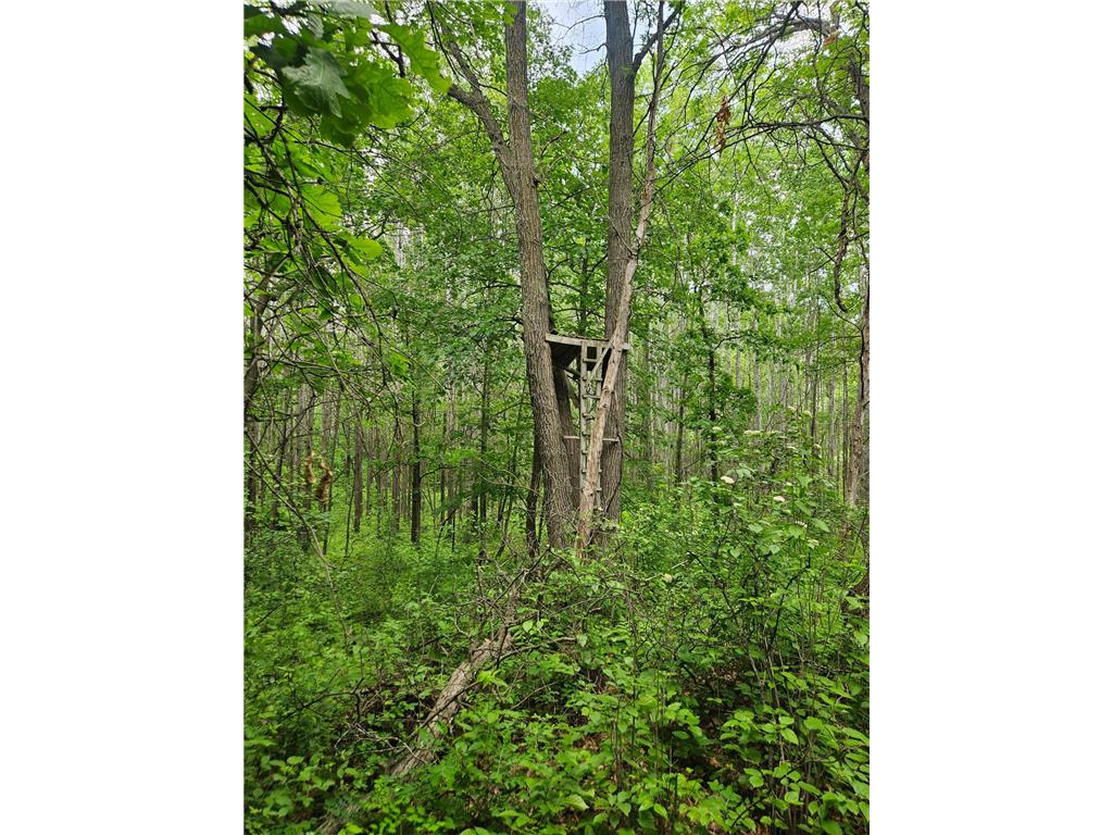 Parcel E Rogue Way Ironton MN 56455 7085724 image15