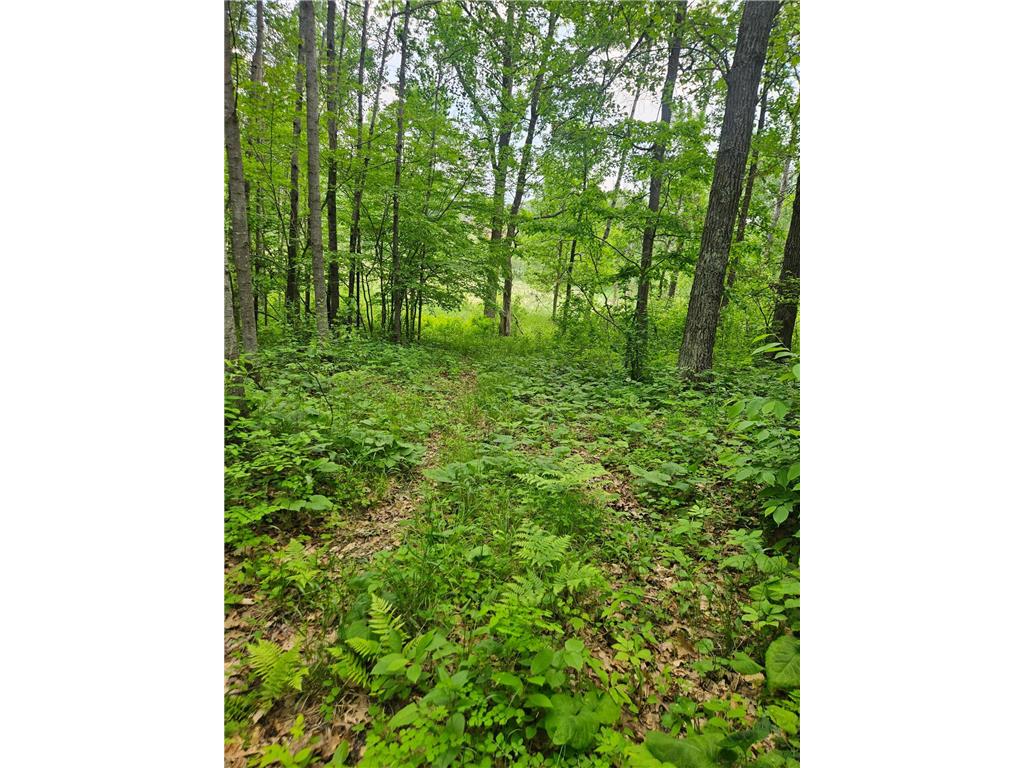 Parcel E Rogue Way Ironton MN 56455 7085724 image16