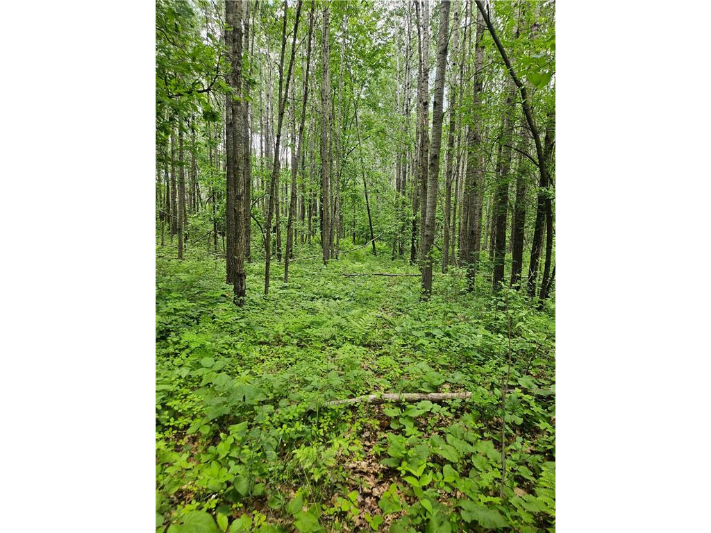 Parcel E Rogue Way Ironton MN 56455 7085724 image17