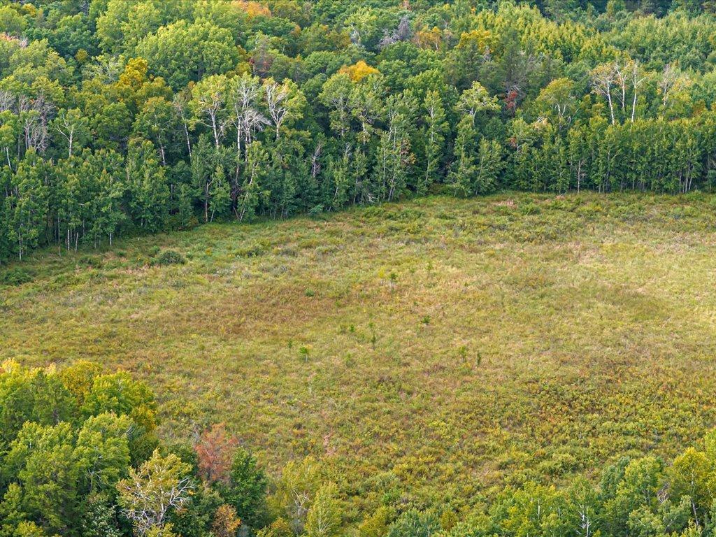 Parcel F Horseshoe Lake Rd Mission Twp MN 56465 6799623 image14