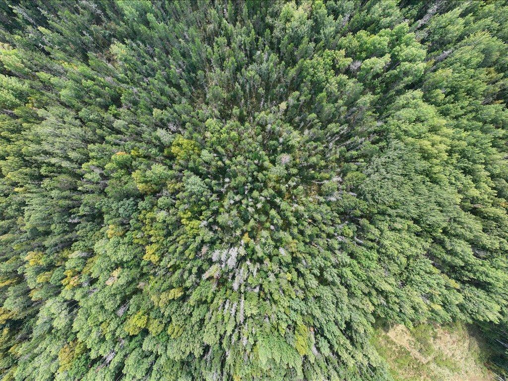 Parcel F Horseshoe Lake Rd Mission Twp MN 56465 6799623 image26