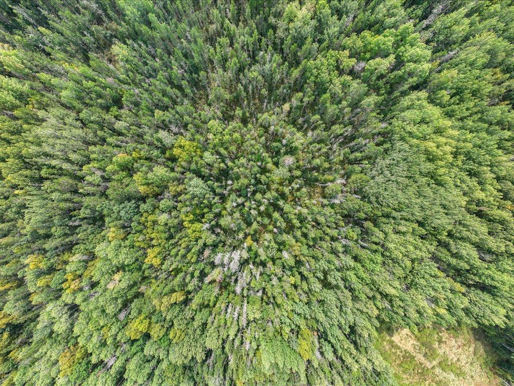 Parcel F Horseshoe Lake Rd Mission Twp MN 56465 6799623 image28