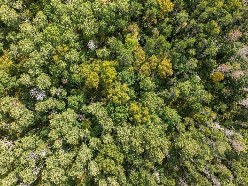 Parcel F Horseshoe Lake Rd Mission Twp MN 56465 6799623 image5