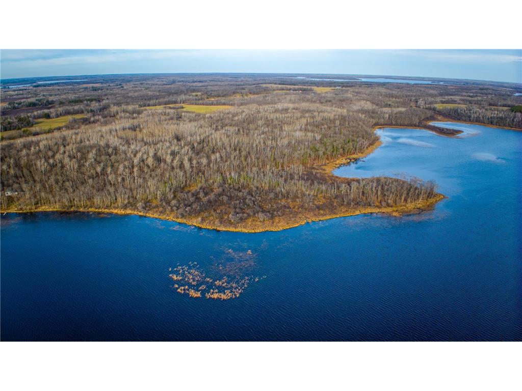 00000 Puposky Road NW Bemidji MN 56601 - Little Turtle 6691014 image1