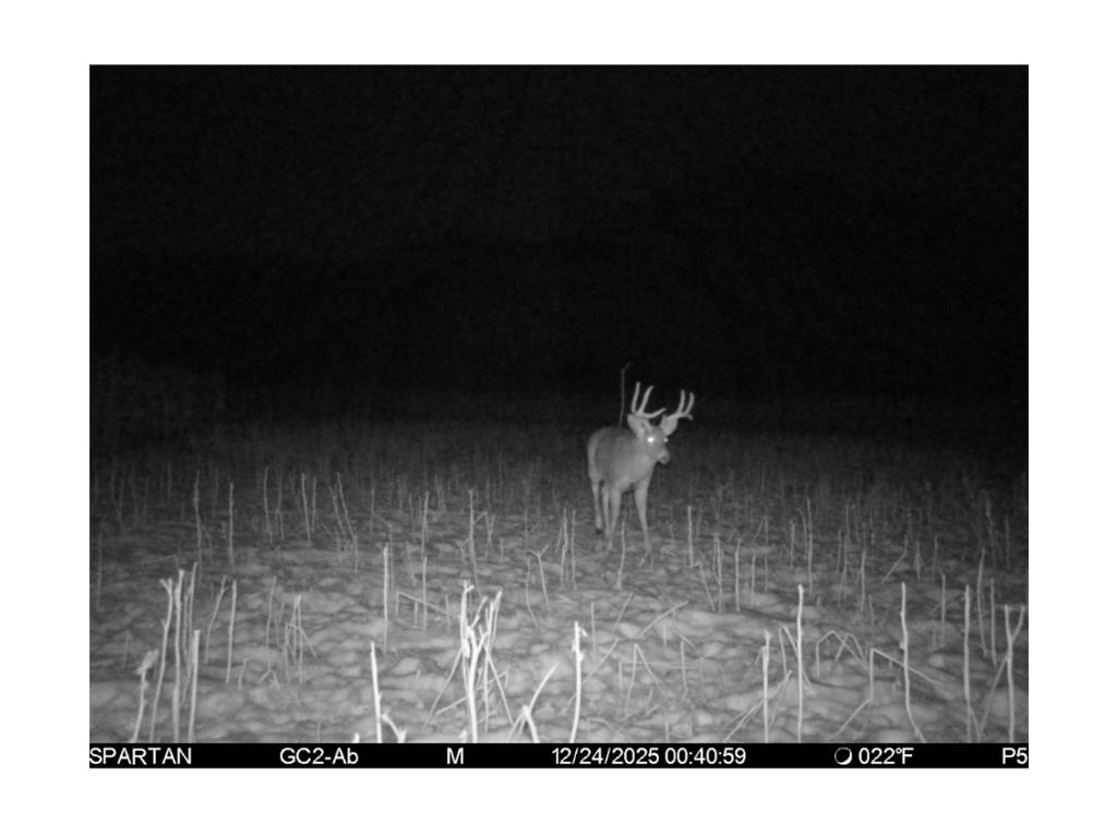S1689 County Road Xx Alma WI 54610 7084434 image34
