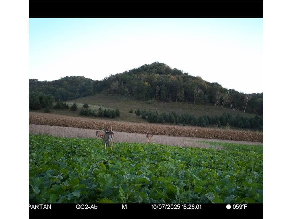 S1689 County Road Xx Alma WI 54610 7084434 image35